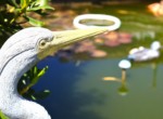 Gartenimpressionen 7