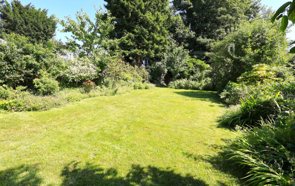 Gartenfläche