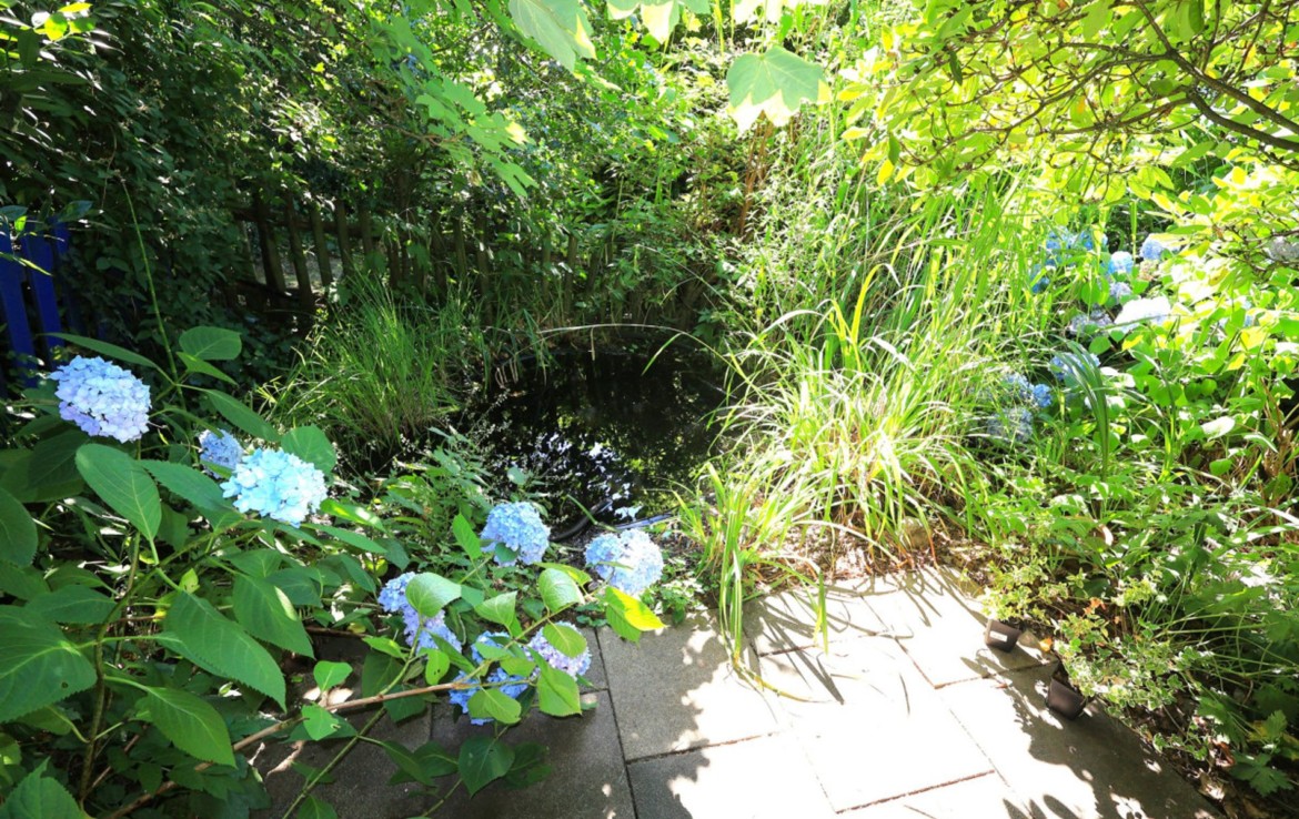 Teich an Schattenterrasse