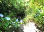 Teich an Schattenterrasse