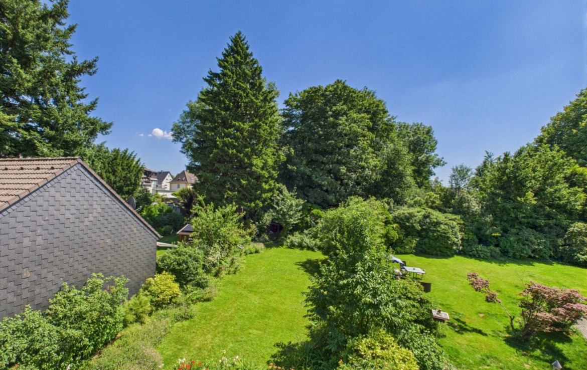Blick in den Garten