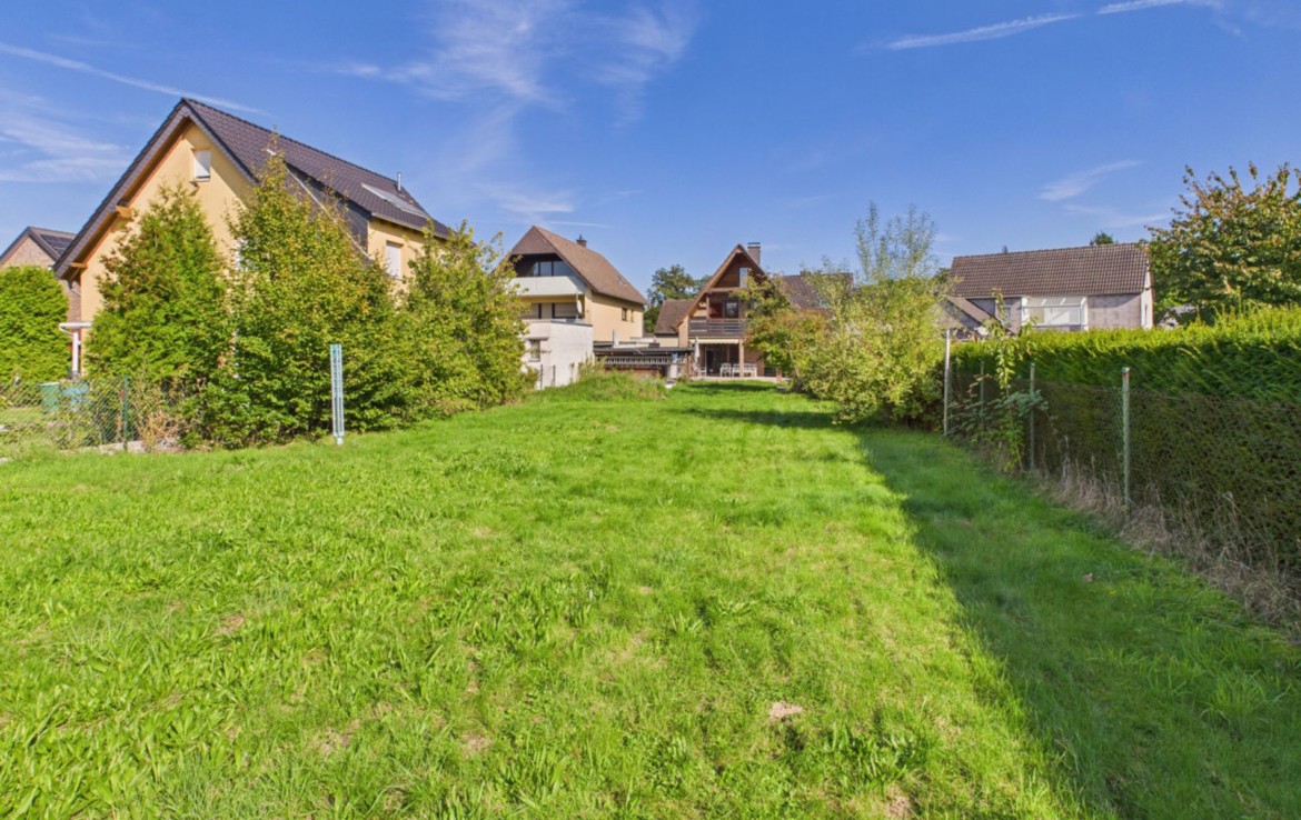 Garten von hinten