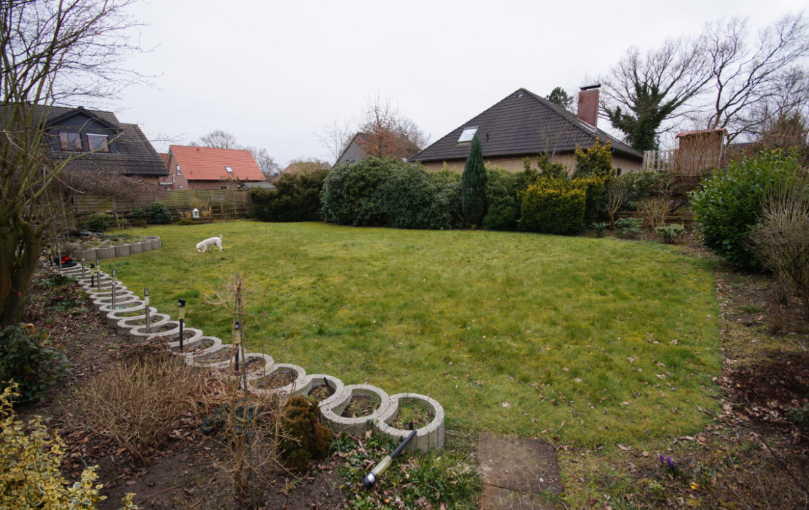 Bild1