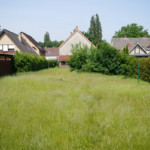 DSC00385