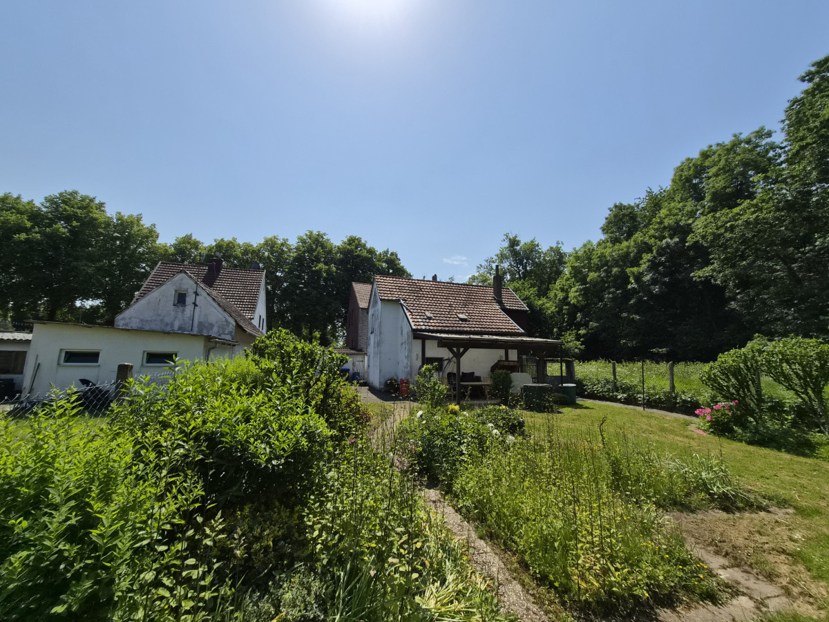 Blick aus Garten
