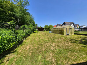 Garten hinten