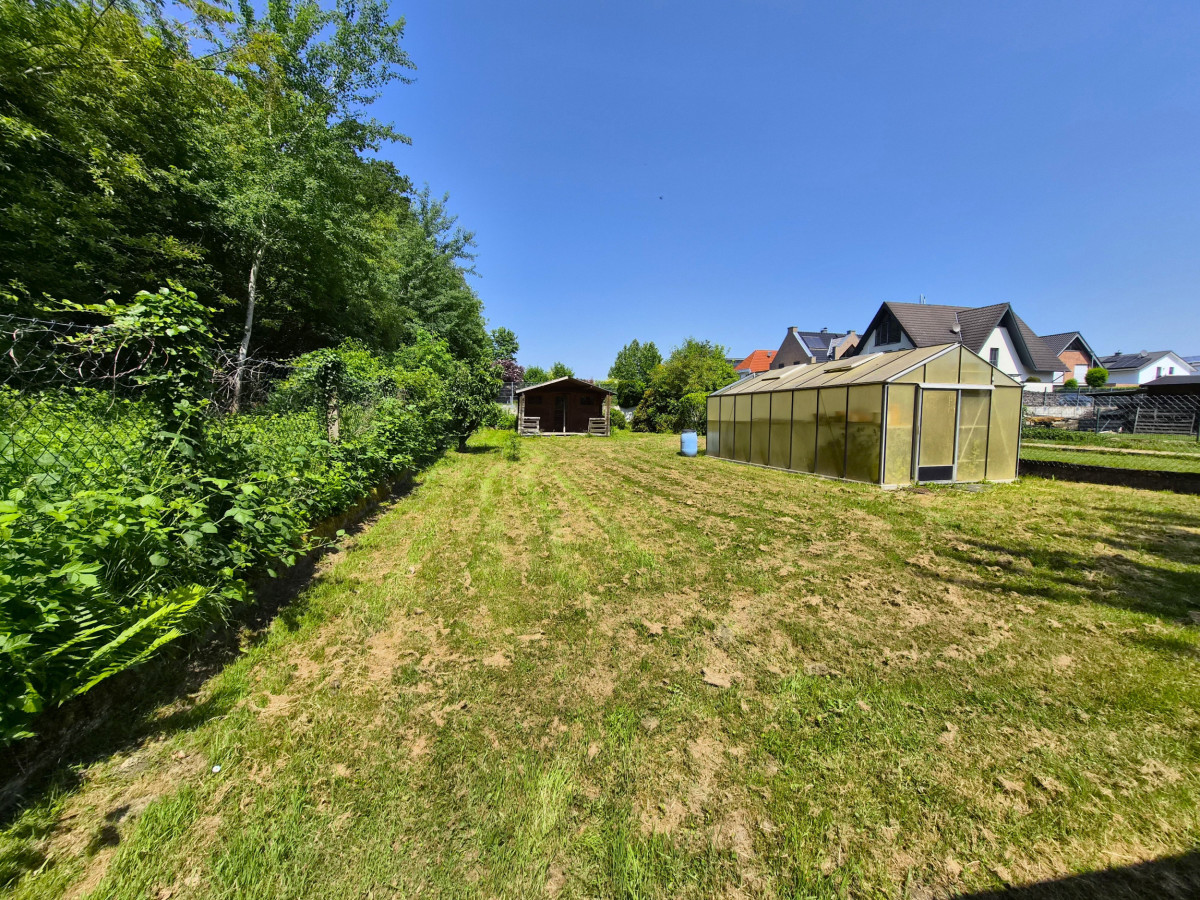 Garten hinten