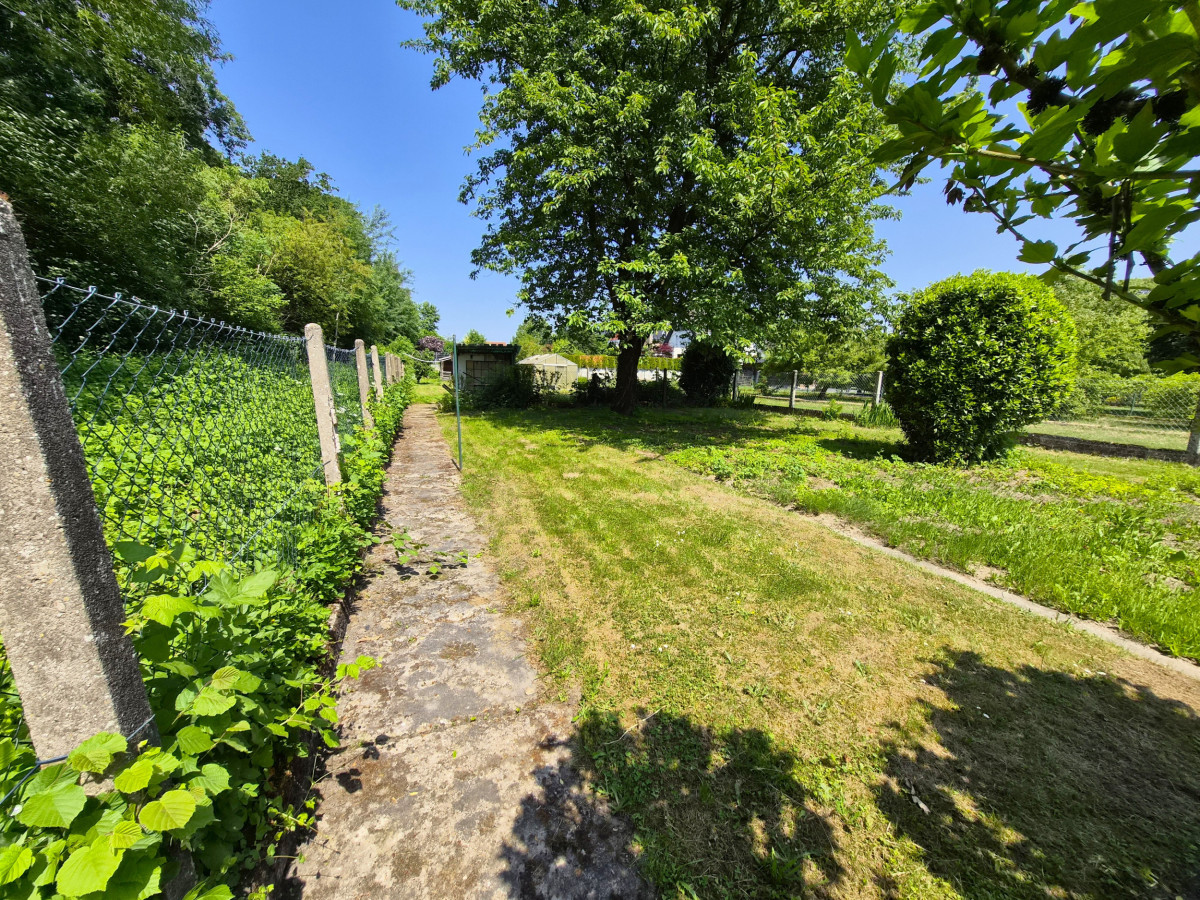 Garten Mitte